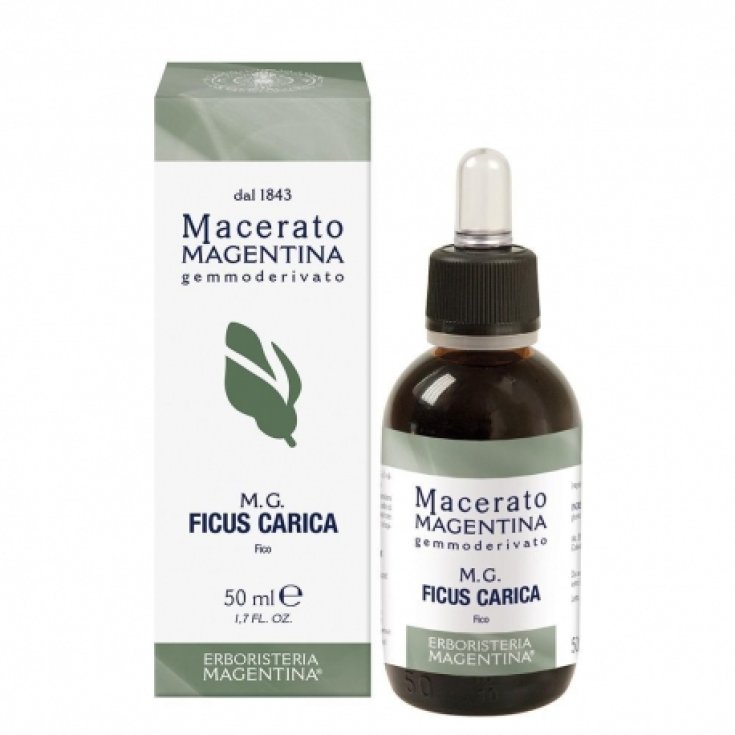 Ficus Carica Macerato Magentina 50ml