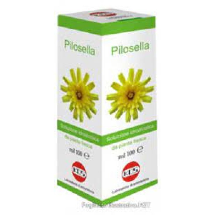 Pilosella SI KOS 100ml