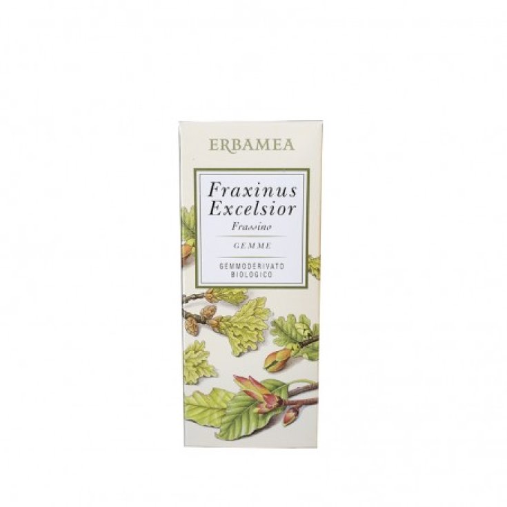 Fraxinus Exclesior Gemme Erbamea 50ml