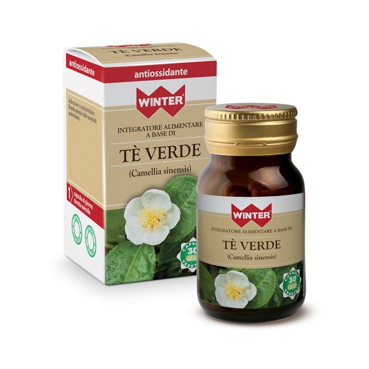 WINTER® TÉ VERDE 30 Cápsulas Vegetales