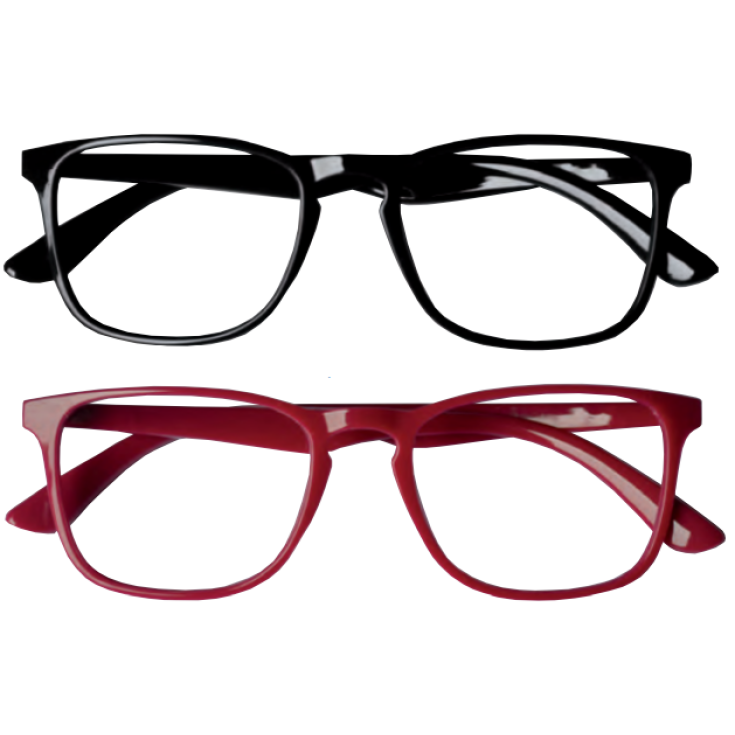 Twins6 Gafas Premontadas +2.00 Prontixte 1 Par