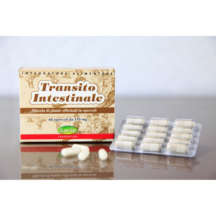 Tránsito Intestinal Laboratorios Larix 60x310mg