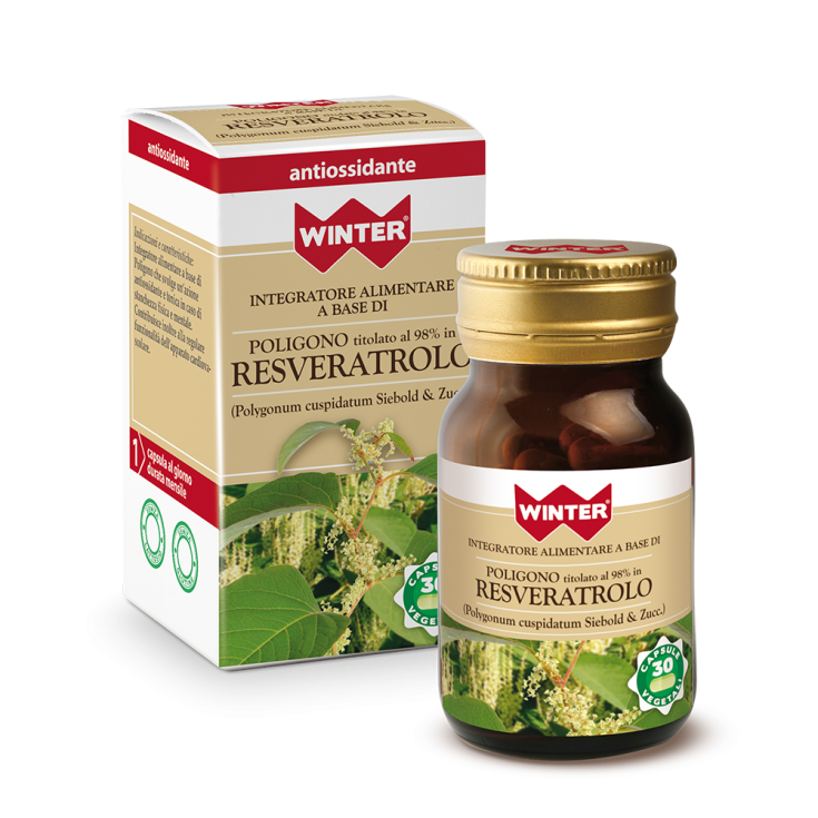 Poligono Titolato 98% Resveratrol Invierno 30 Capsulas Vegetales