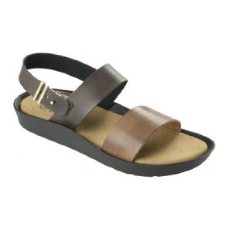 SANDALIA MAMORE MUJER BRW / BRW N39 Dr. Scholl's®