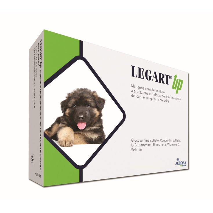 Legart Up Aurora BioFarma 120 Comprimidos