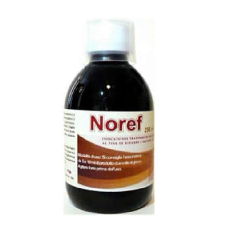 NOREF OMNIAEQUIPE 250ml