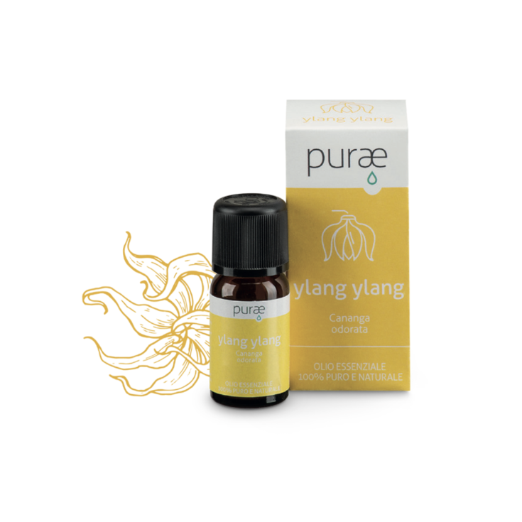 PURAE OE YLANG YLANG FLORES 10ML