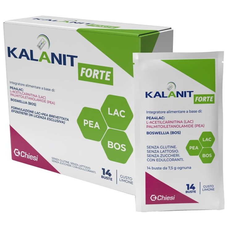 KALANIT FORTE 14BUSTO KALANIT FORTE 14BUSTO