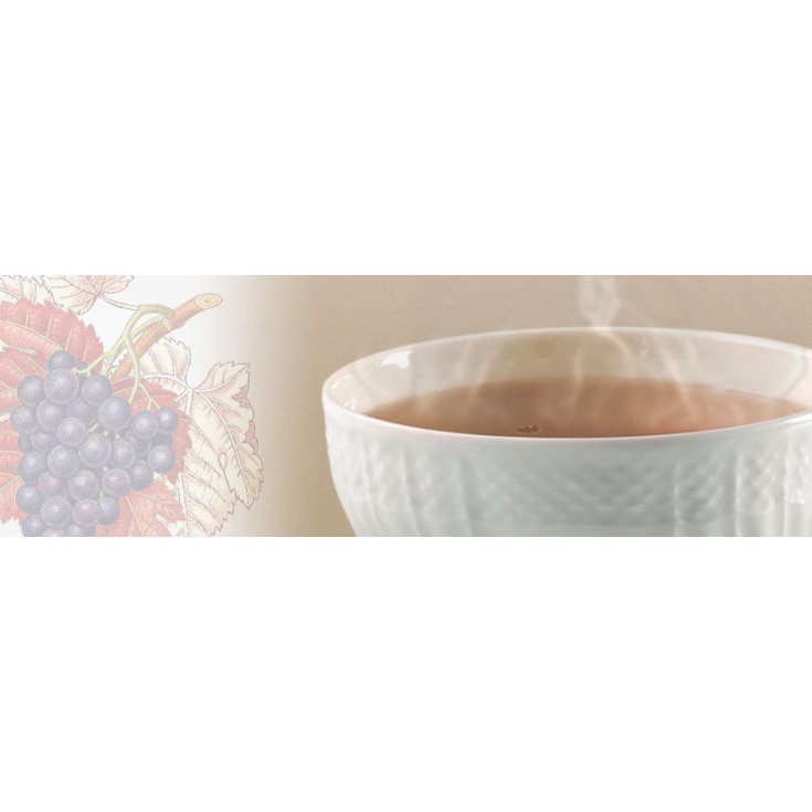 TÉ DE HIERBAS 100G