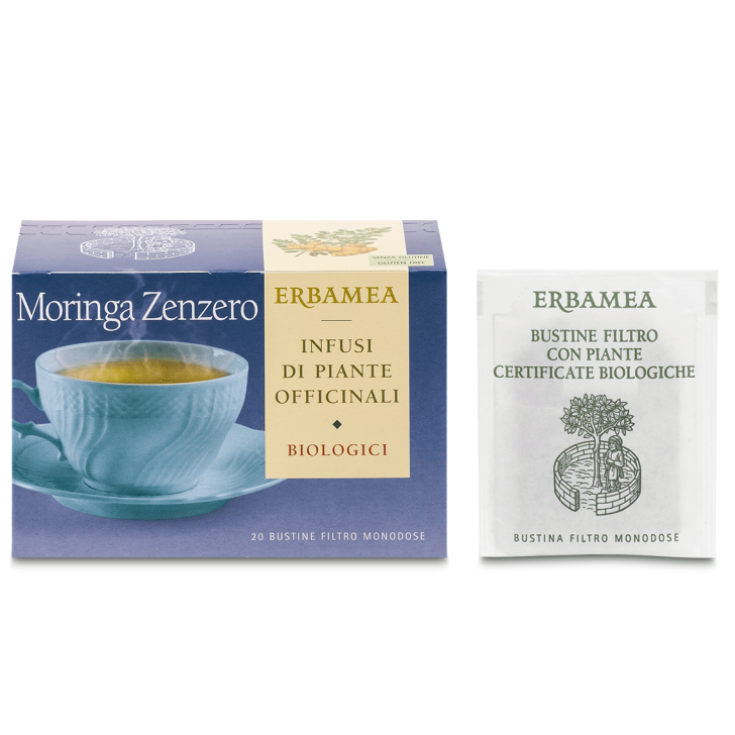 MORINGA JENGIBRE ORGÁNICO 20BUSTO