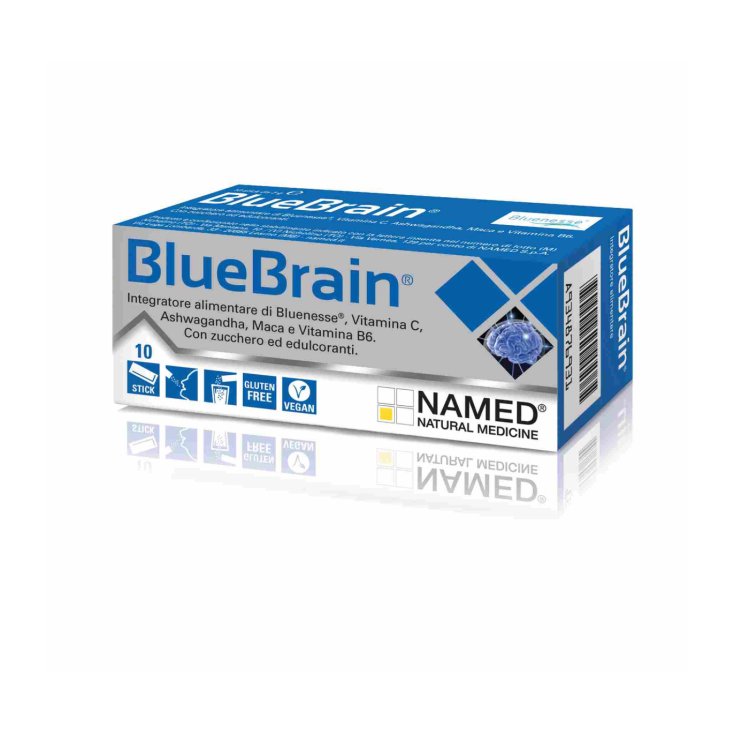 CEREBRO AZUL 10BUSTO 2G