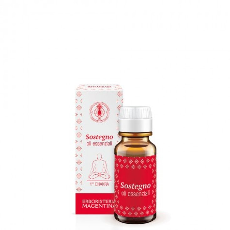 ESENCIA SOPORTE 10ML CHAKRA 1