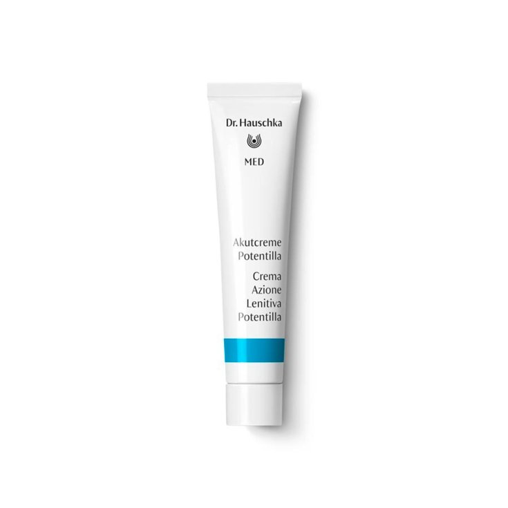 CREMA DE ACCIÓN DR HAUSCHKA LENIT