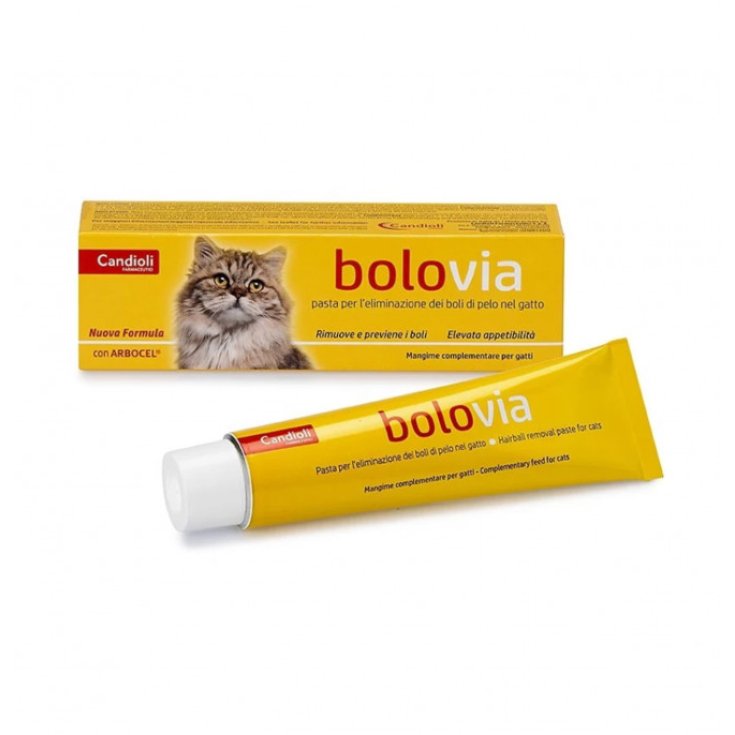 BOLOS VIA PASTA GATOS 100G