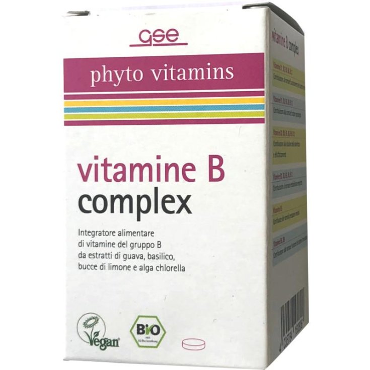 GSE COMPLEJO DE VITAMINA B 60CPS