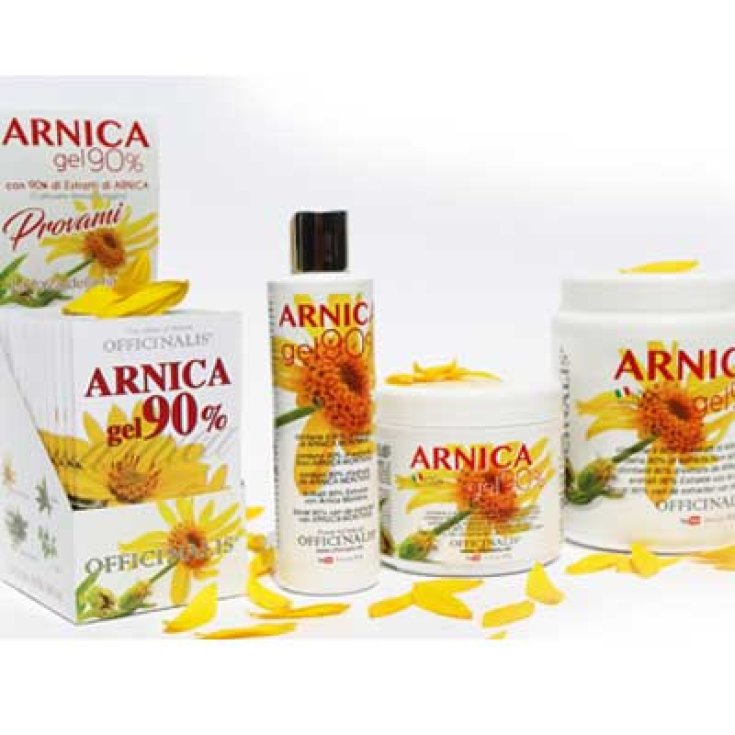 GEL ÁRNICA 90% 100ML