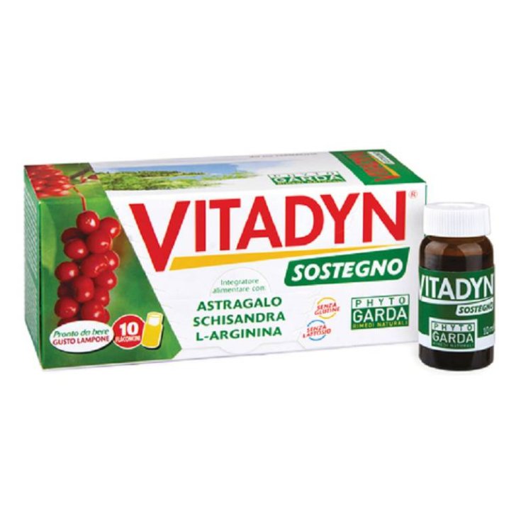 APOYO VITADYN 10FL