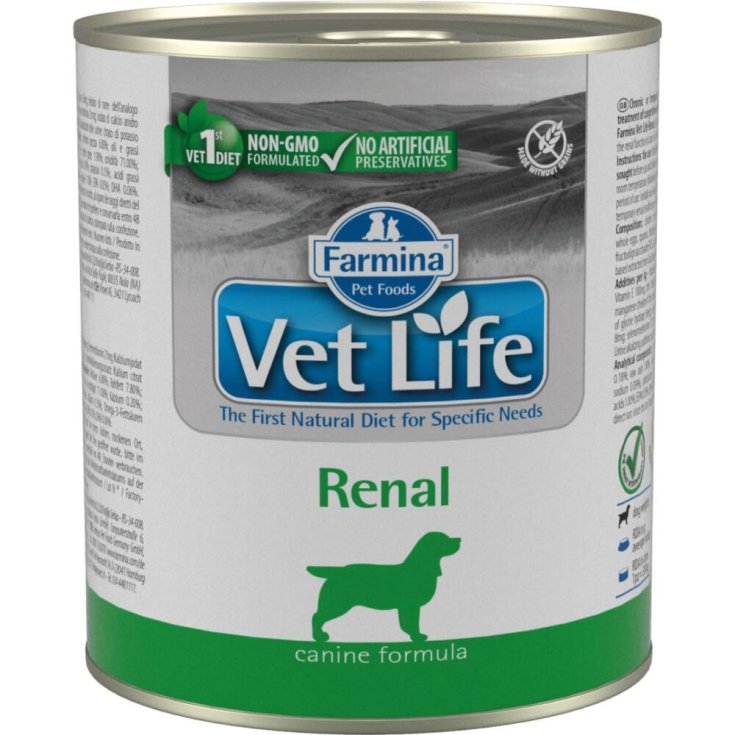 VET VIDA PERRO RENAL 300G