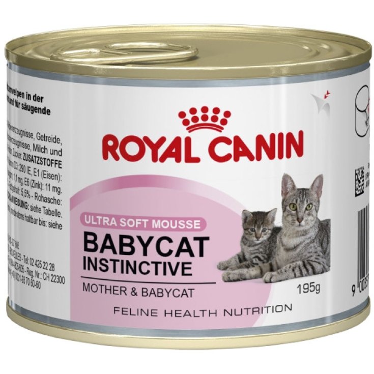 WF CAT BABYCAT INSTICTIVO 195G