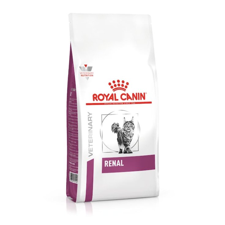 VHN GATO RENAL 400G