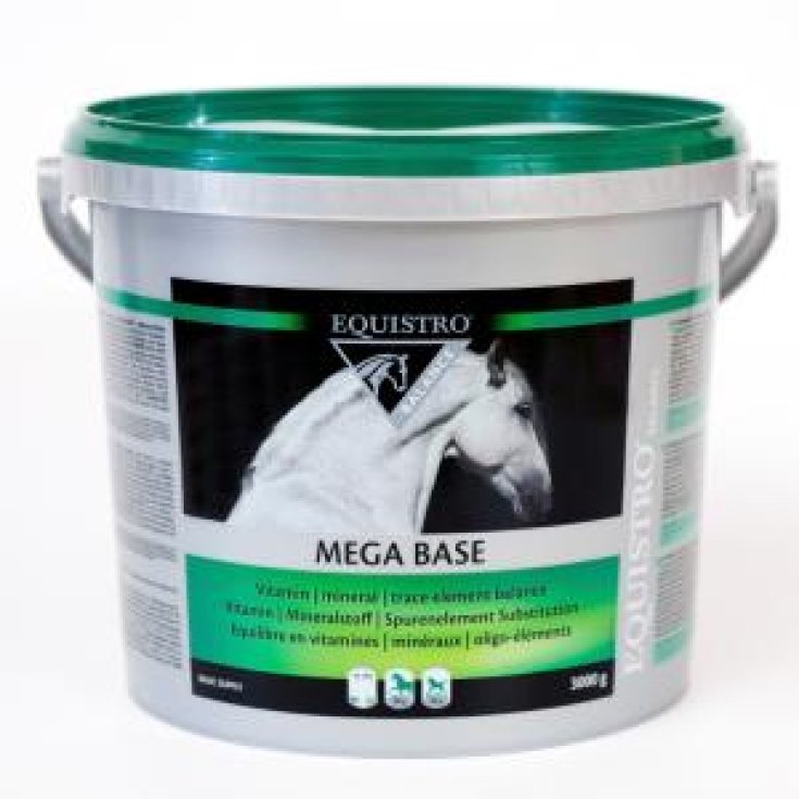 BASE MEGA EQUISTRO 3KG