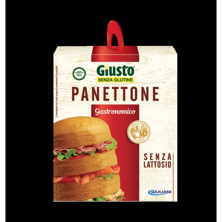 PANETTONE DERECHO S/G GAST 400G