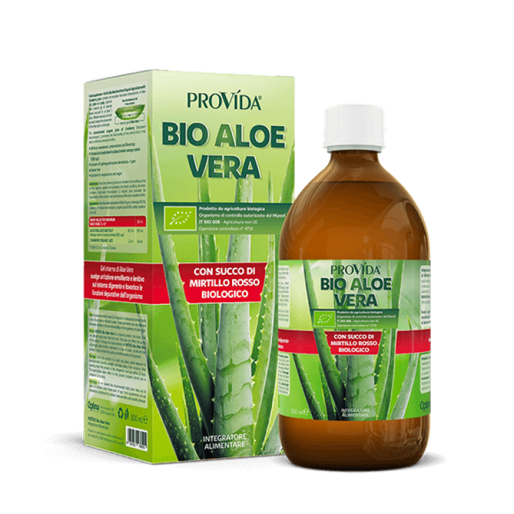 PROVIDA BIO ALOE CON ARÁNDANOS