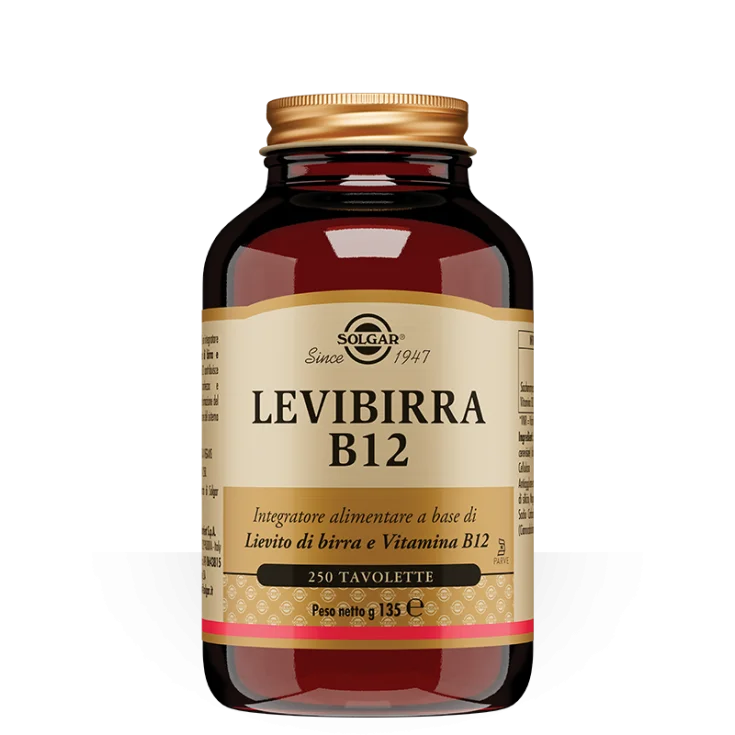 LEVIBREER B12 250TAV