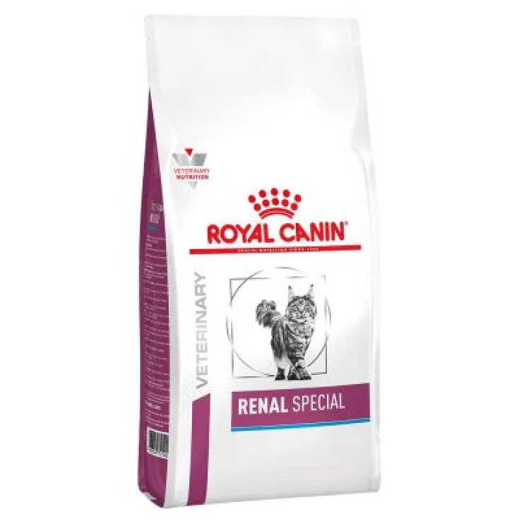 VHN CAT RENAL ESPECIAL 2KG