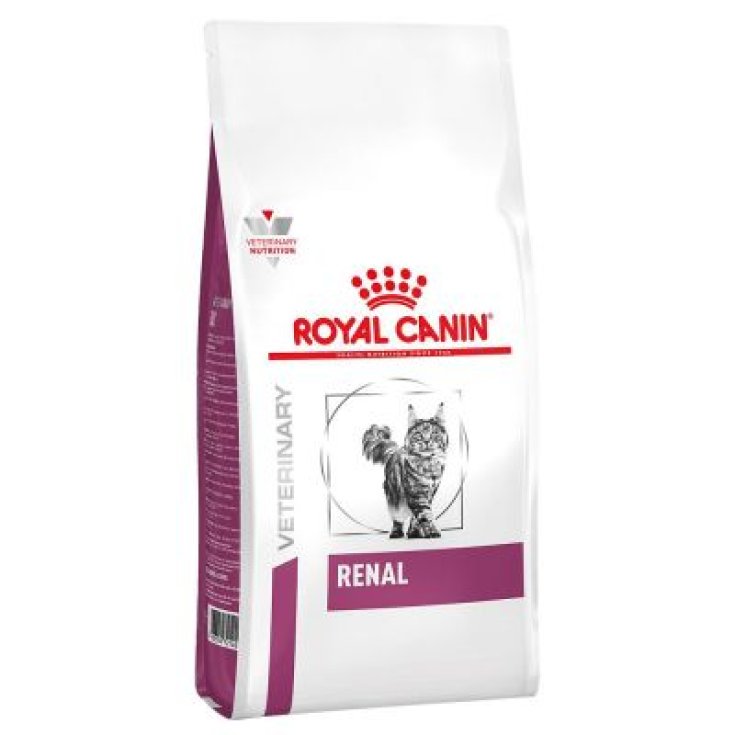 VHN GATO RENAL 2KG