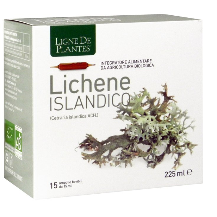 LIQUEN ISLANDÉS 15AMPX15ML