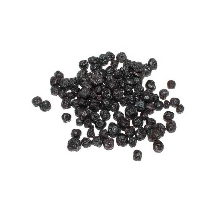 EXTRACTO SECO DE GROSELLA NEGRA 100G