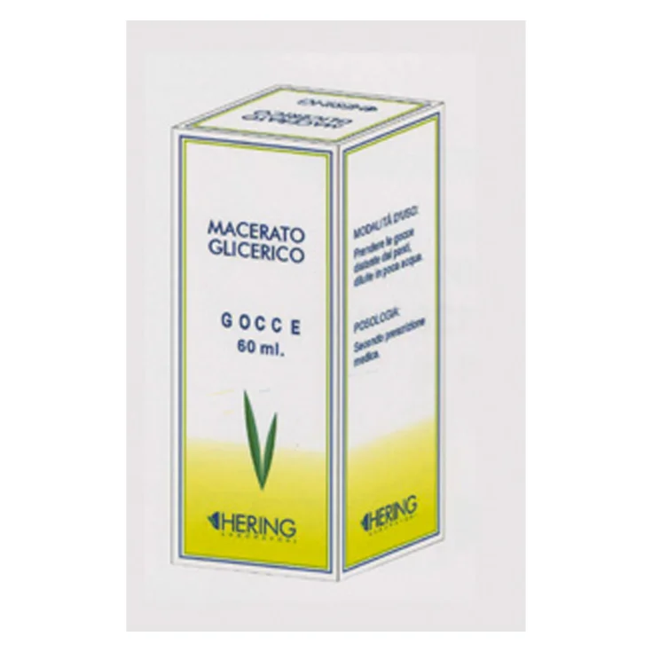 BETULA PUBESCENS GEMAS 60ML MG