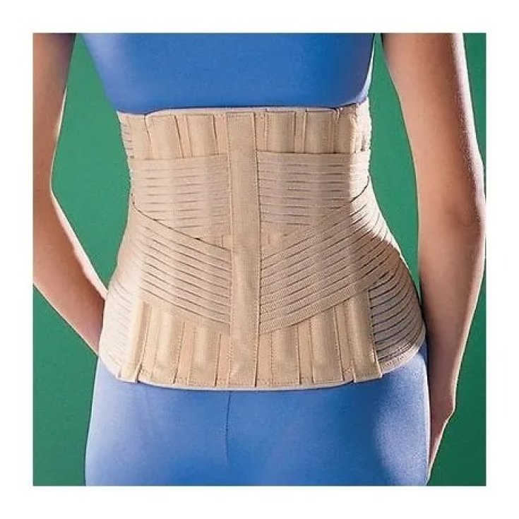SOPORTE LOMO SAGRADO 2368 L