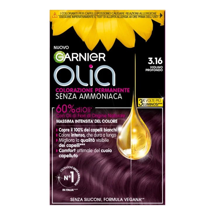 VIOLÍN GARNIER OLIA PROF 271G