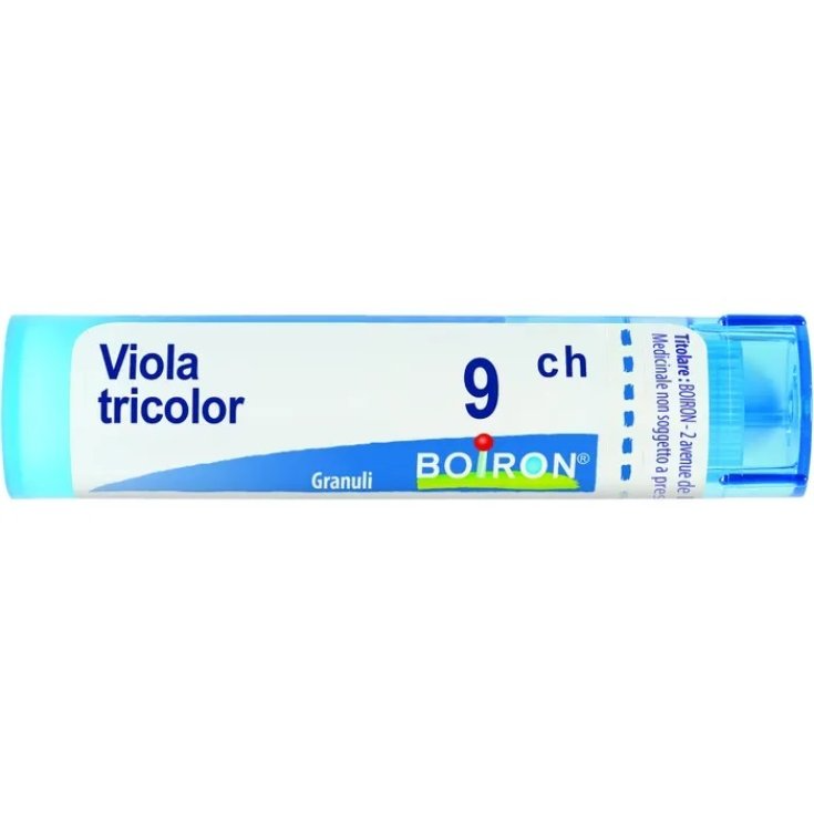 MORADO TRIC 9CH GR