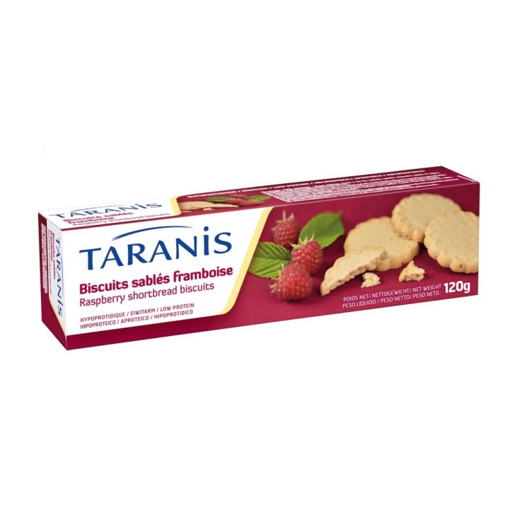 LÁMPARA DE GALLETAS DE TARANIS