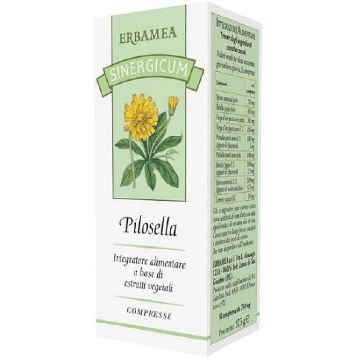 SYNERGICUM PILOSELLA 50 Comprimidos