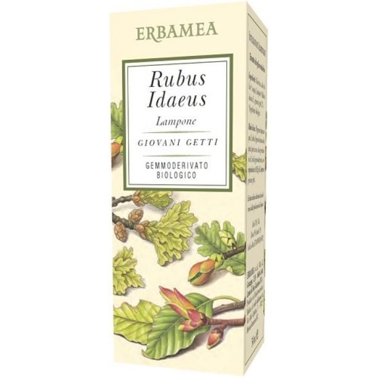 RUBUS IDAEUS FRAMBUESA ECOLÓGICA 50ML