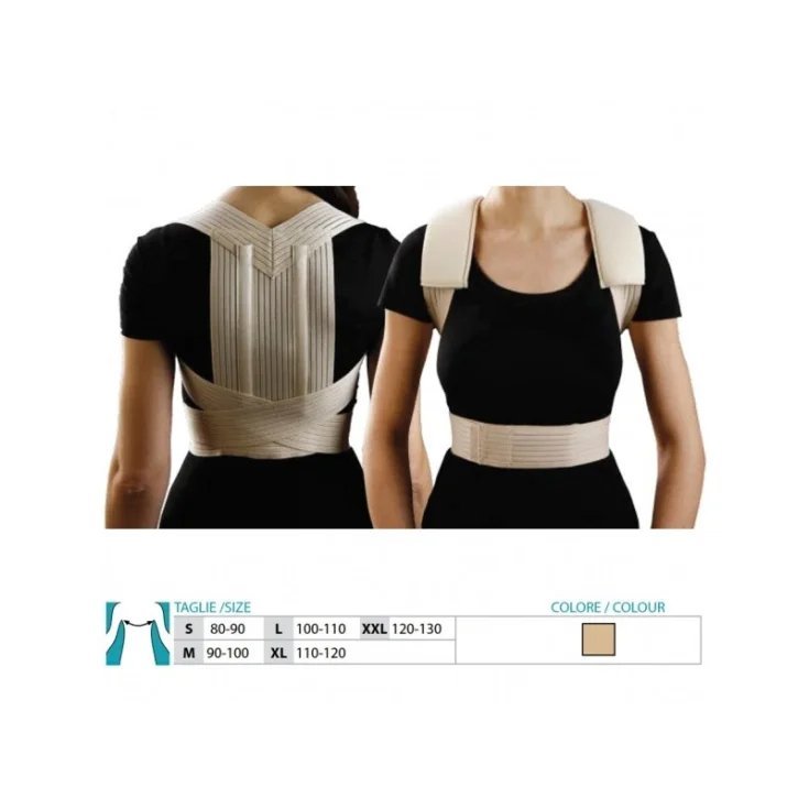 ORION 9797 RADDR SPA-SCH XL
