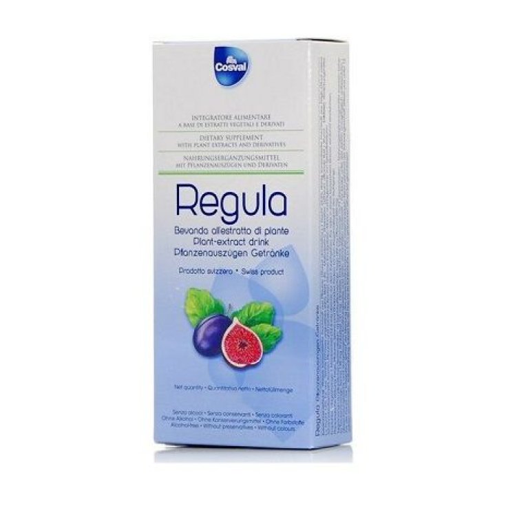 BEBIDA REGULA 250ML