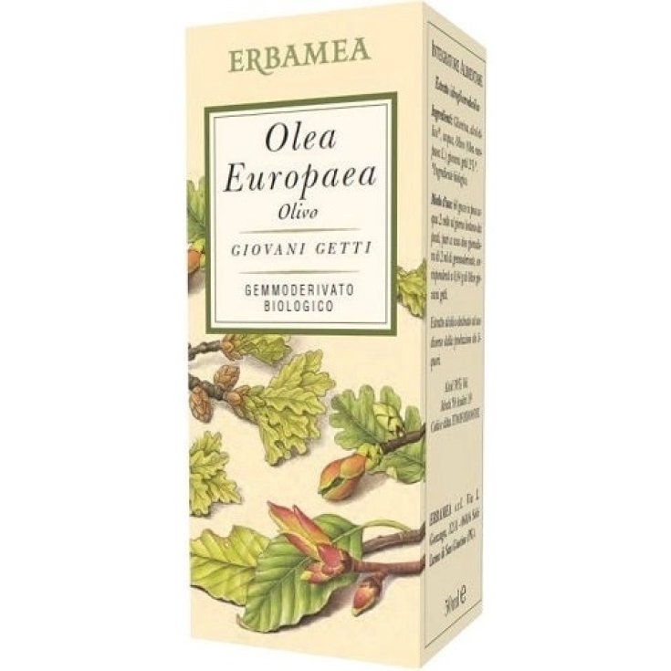 OLEA EUROPEA OLIVA BIO 50ML