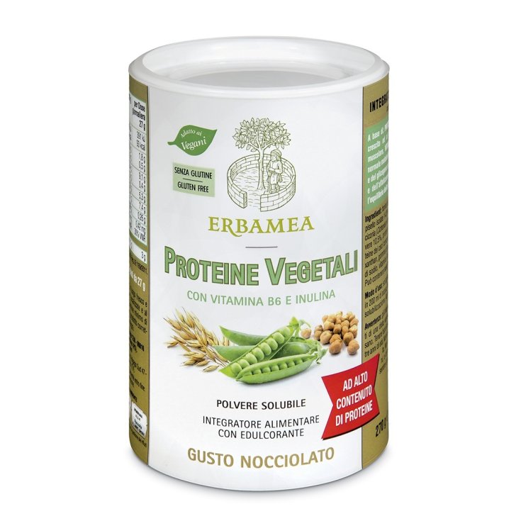 PROTEINA VEGETAL 270G