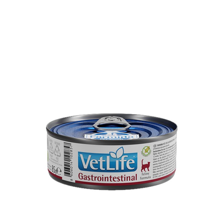 VET VIDA GATO GASTROINT 85G