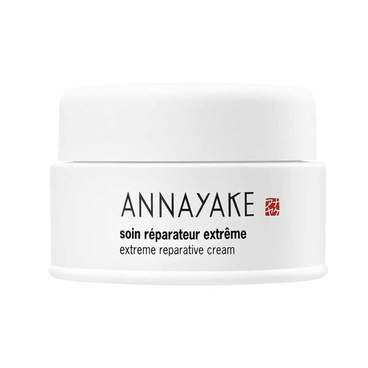 ANNAYAKE SOIN REPARADOR EXTREMO