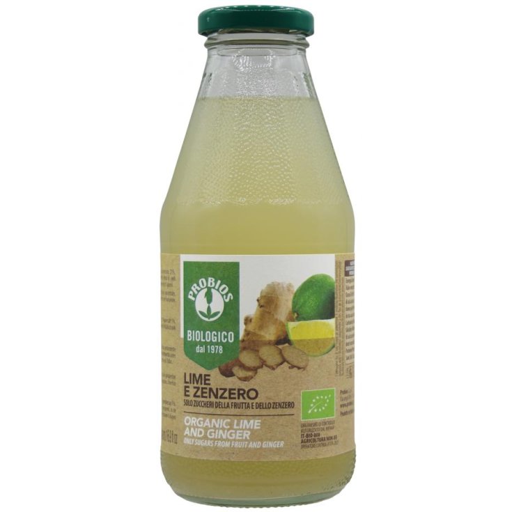 JUGO DE LIMA Y JENGIBRE 500ML