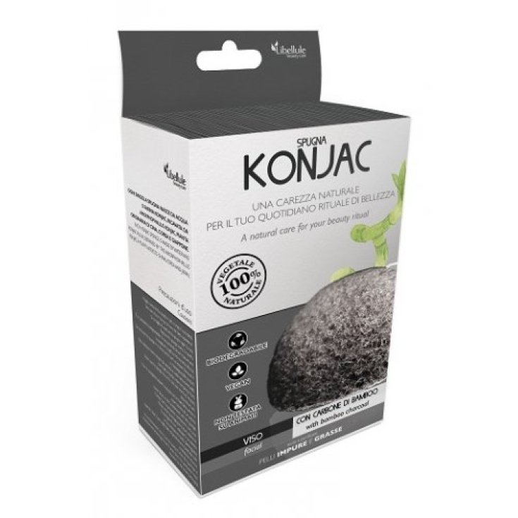 LIBÉLULA CARA KONJAC CARBONO