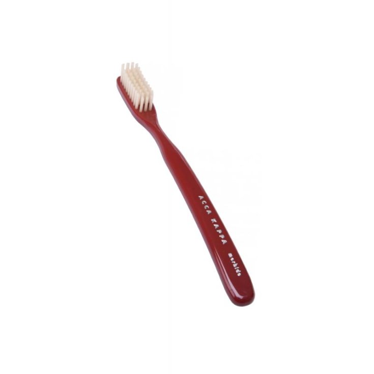 CEPILLO DENTAL VINT NYL SOFT