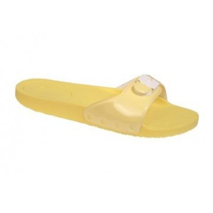 SCHOLL POP SYNPAT W AMARILLO 39
