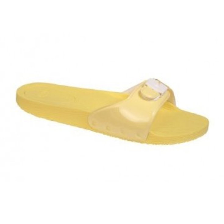SCHOLL POP SYNPAT W AMARILLO 36
